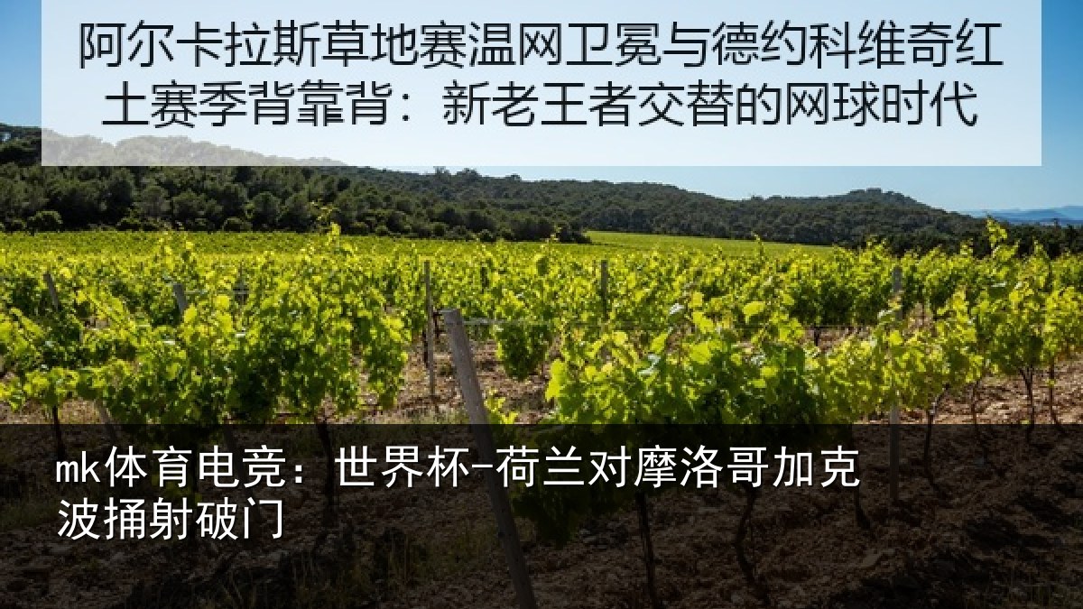 mk体育电竞：世界杯-荷兰对摩洛哥加克波捅射破门
