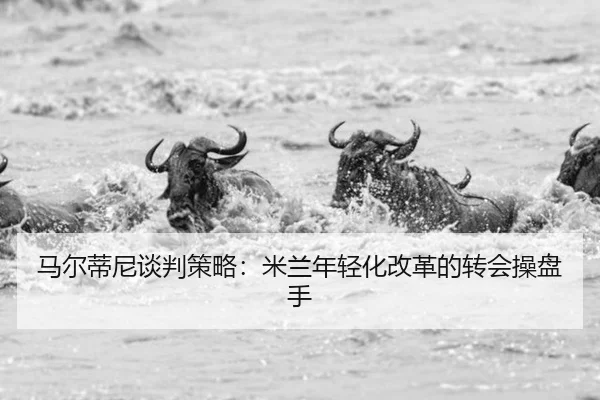 ma-er-di-ni-tan-pan-ce-lve-mi-lan-nian-qing-hua-gai-ge-de-zhuan-hui-cao-pan-shou-2-400.jpg