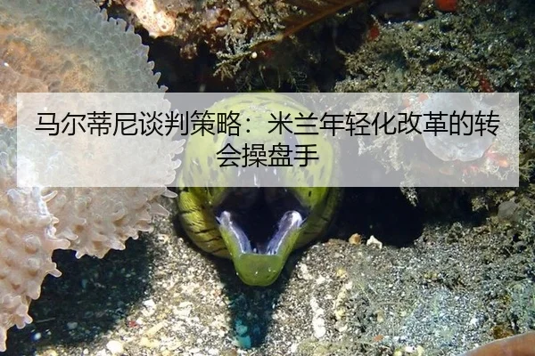 马尔蒂尼谈判策略：米兰年轻化改革的转会操盘手