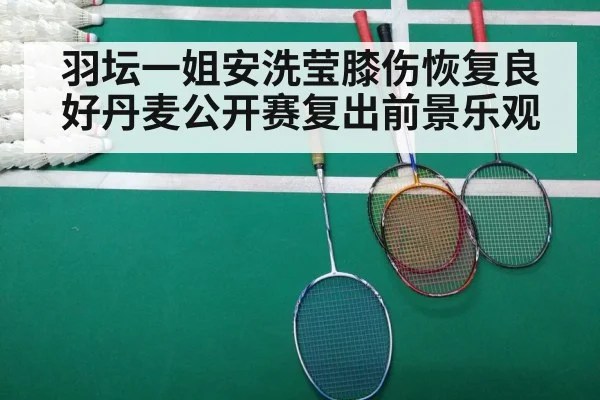 badminton match court