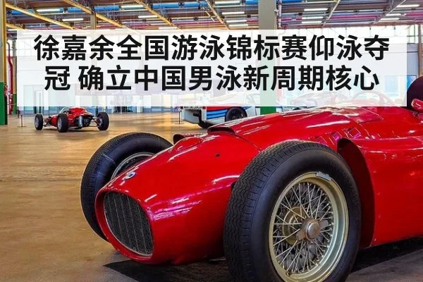 徐嘉余全国游泳锦标赛仰泳夺冠 确立中国男泳新周期核心